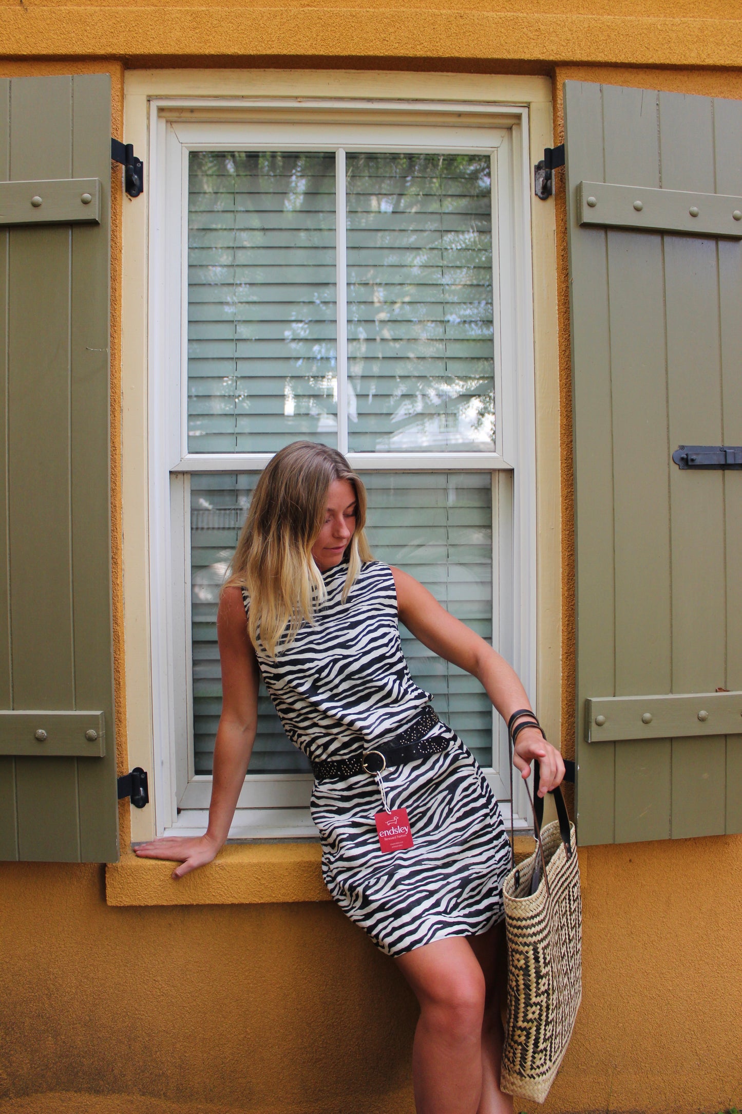 'S Max Mara | Linen Zebra Dress, 4