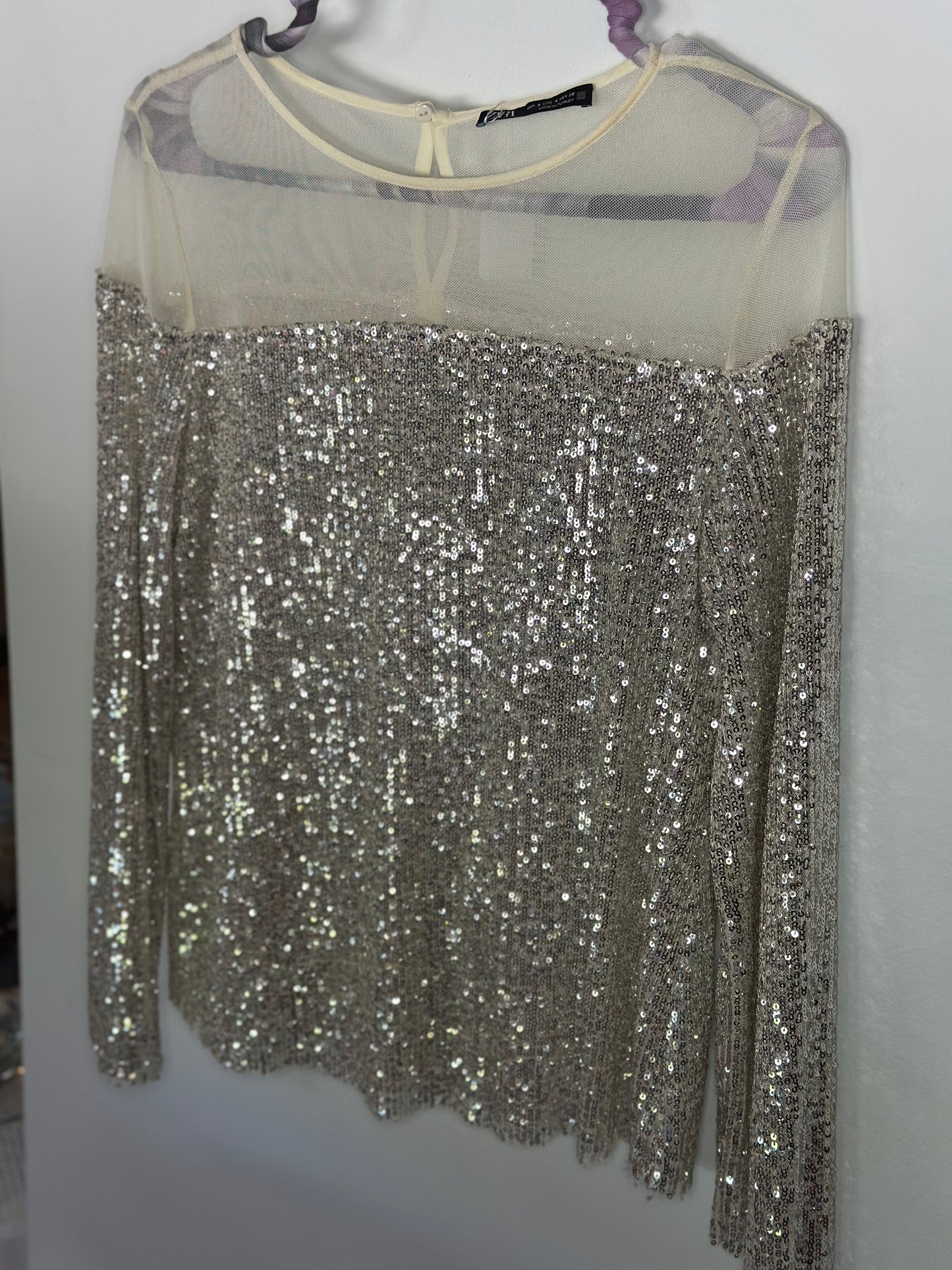 ZARA | Long Sleeve Sequin & Mesh Top