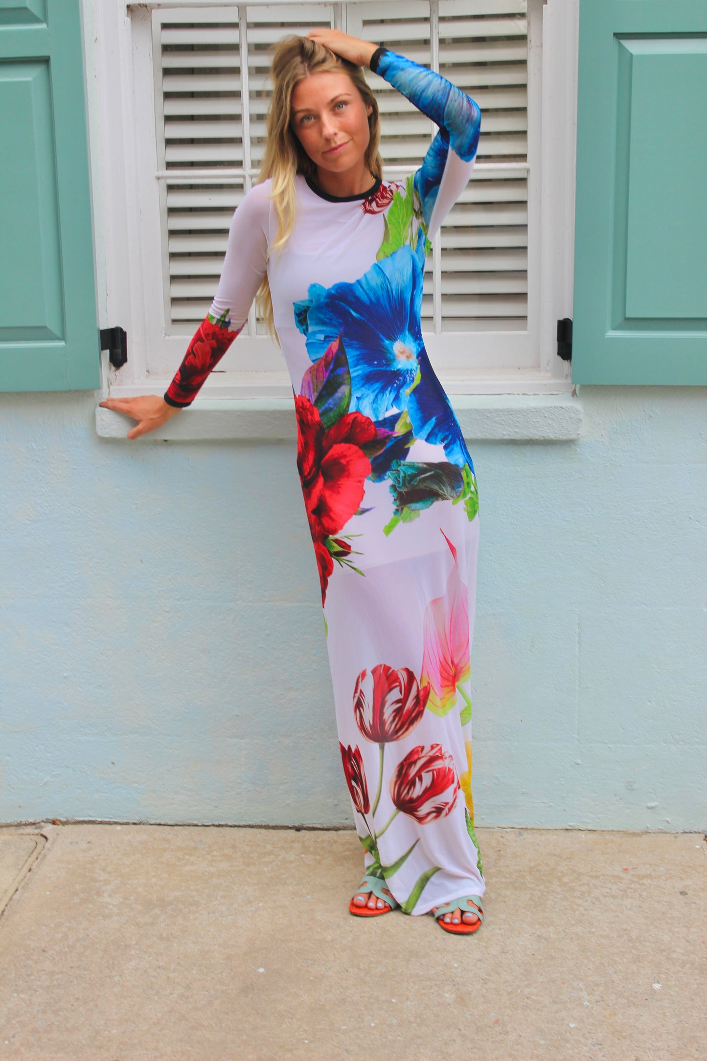 Alice + Olivia / Leva Bonaparte | Semi -Sheer Long Sleeve Floral Maxi Dress, 4