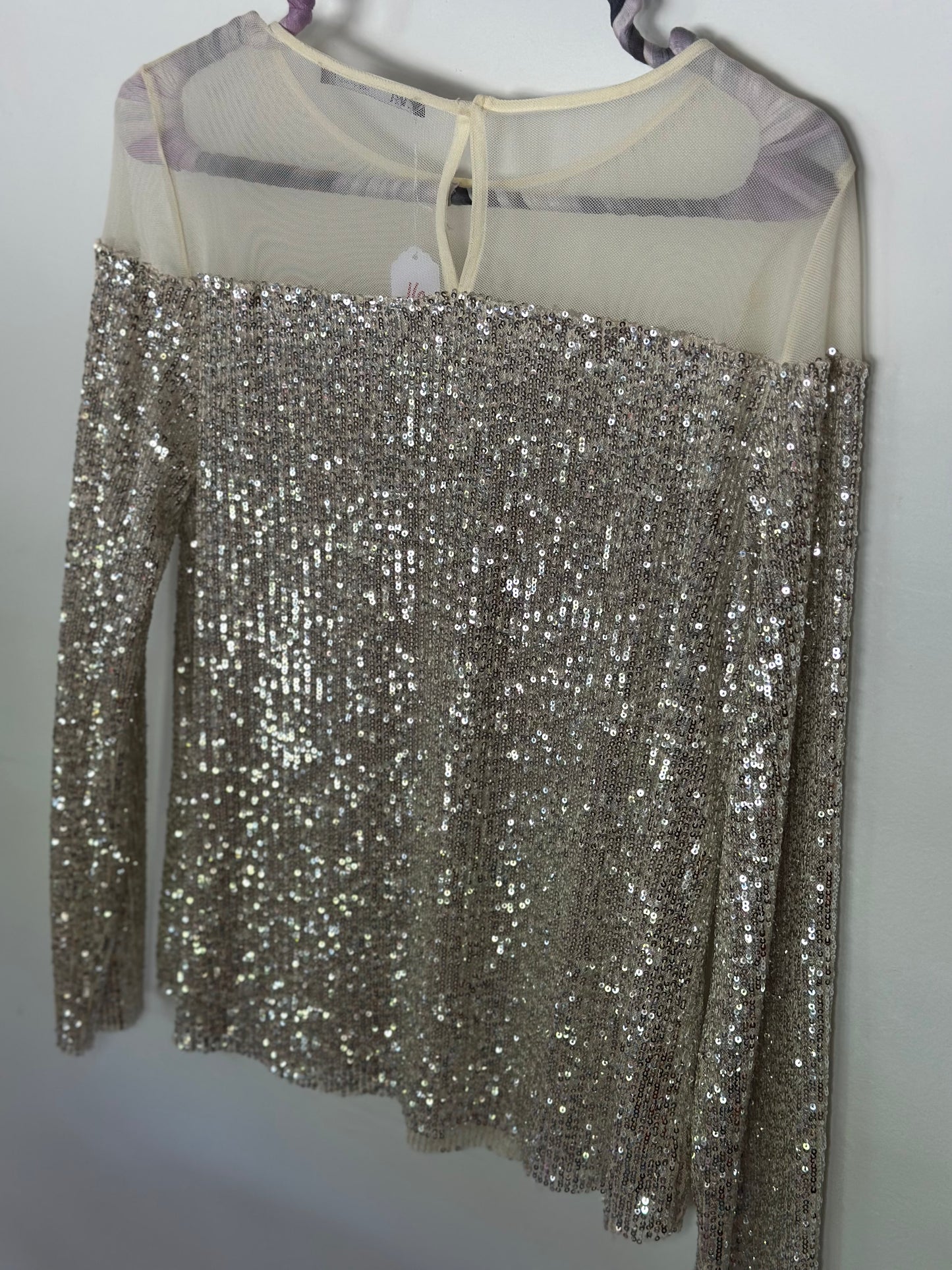 ZARA | Long Sleeve Sequin & Mesh Top
