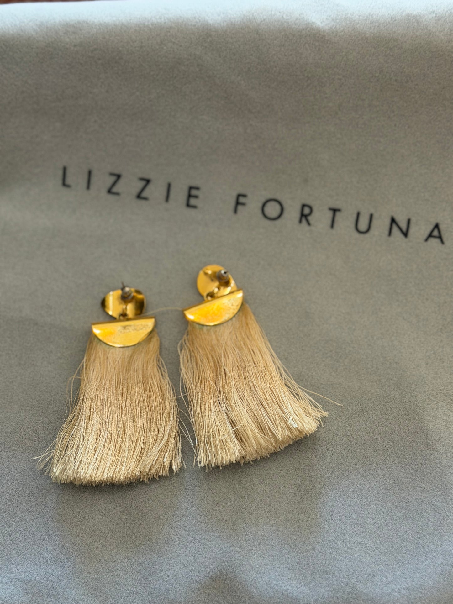 Lizzie Fortunato | Crater Earrings