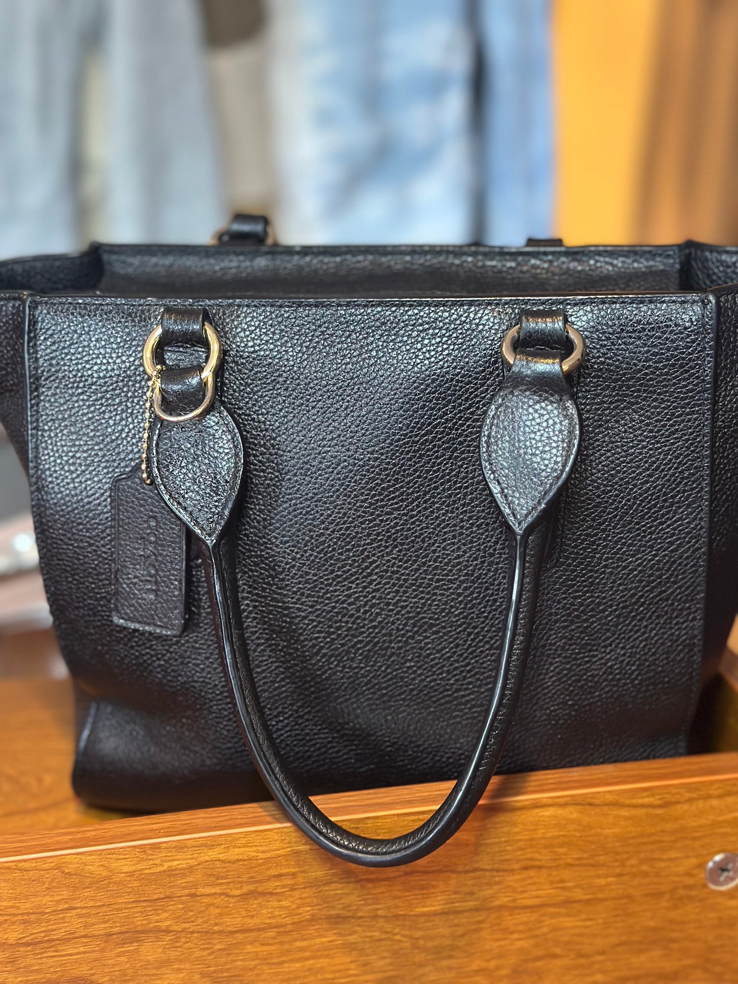 Coach | Mini Tote