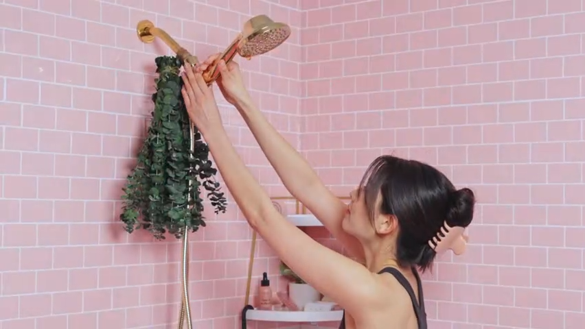 The Shower Filter - Chrome