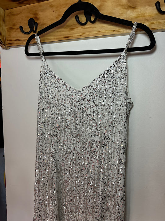 ShowMeYour MuMu | Sparkly Dress