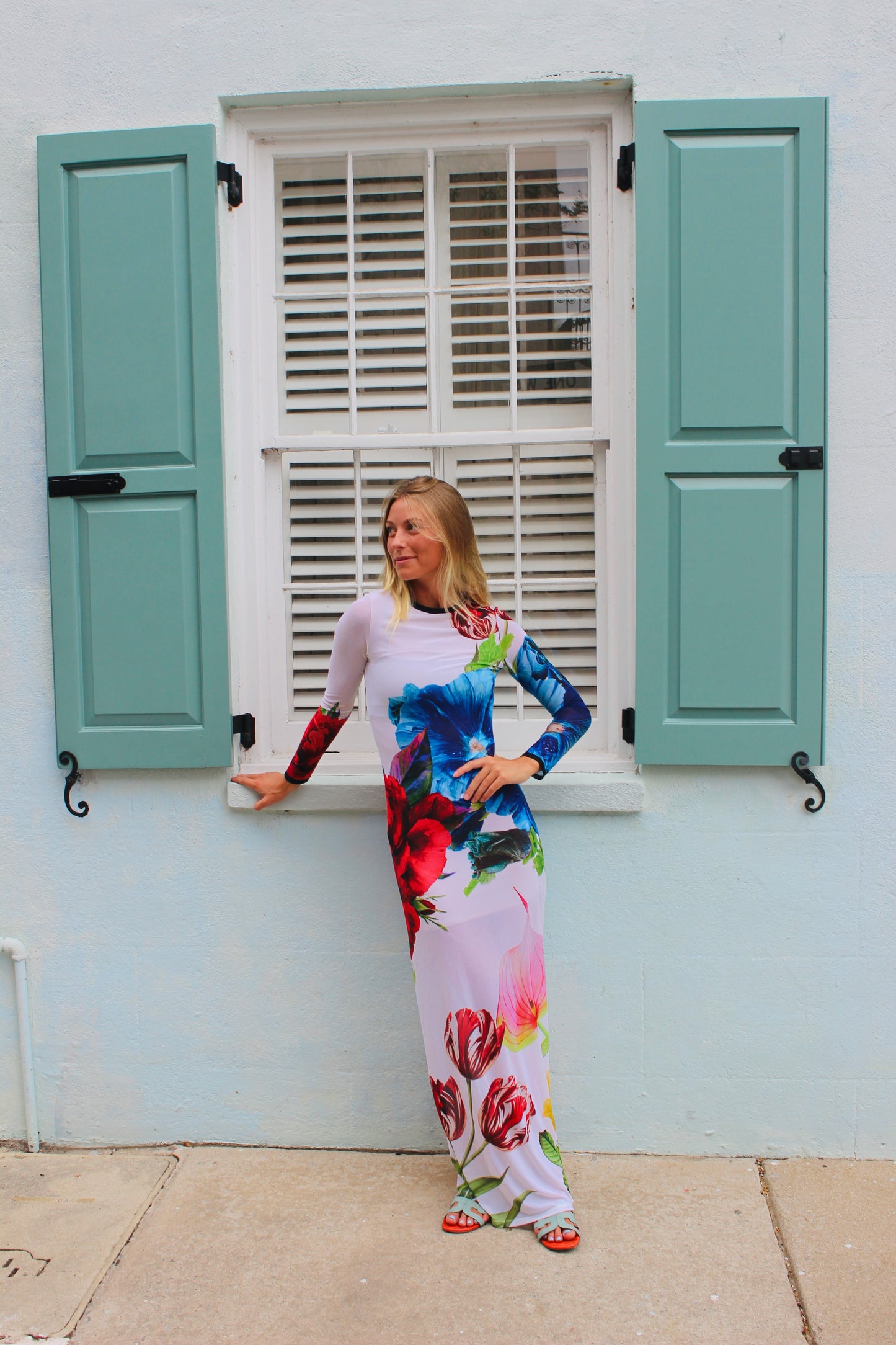 Alice + Olivia / Leva Bonaparte | Semi -Sheer Long Sleeve Floral Maxi Dress, 4