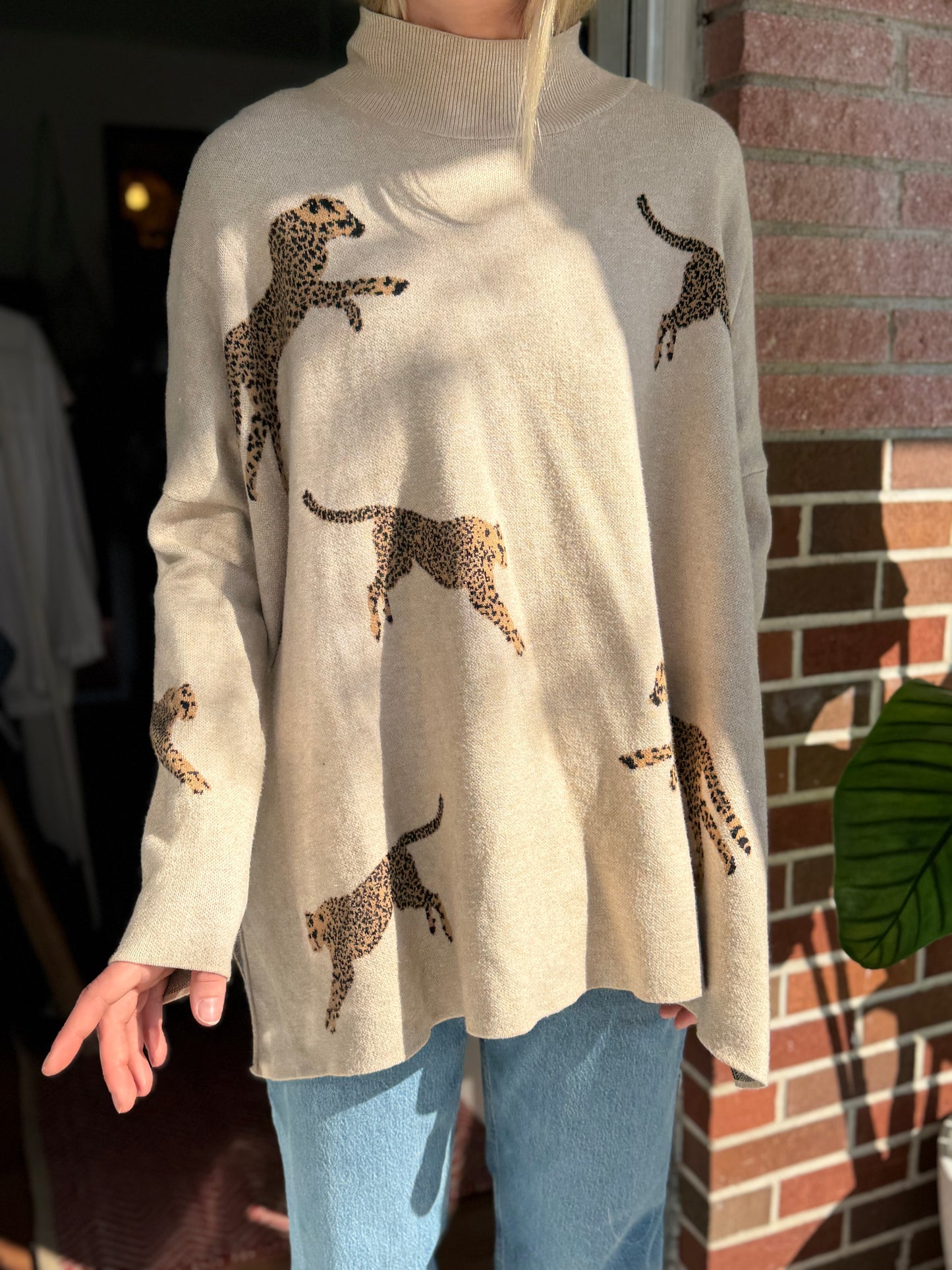 Entro | Cheetah Sweater, L