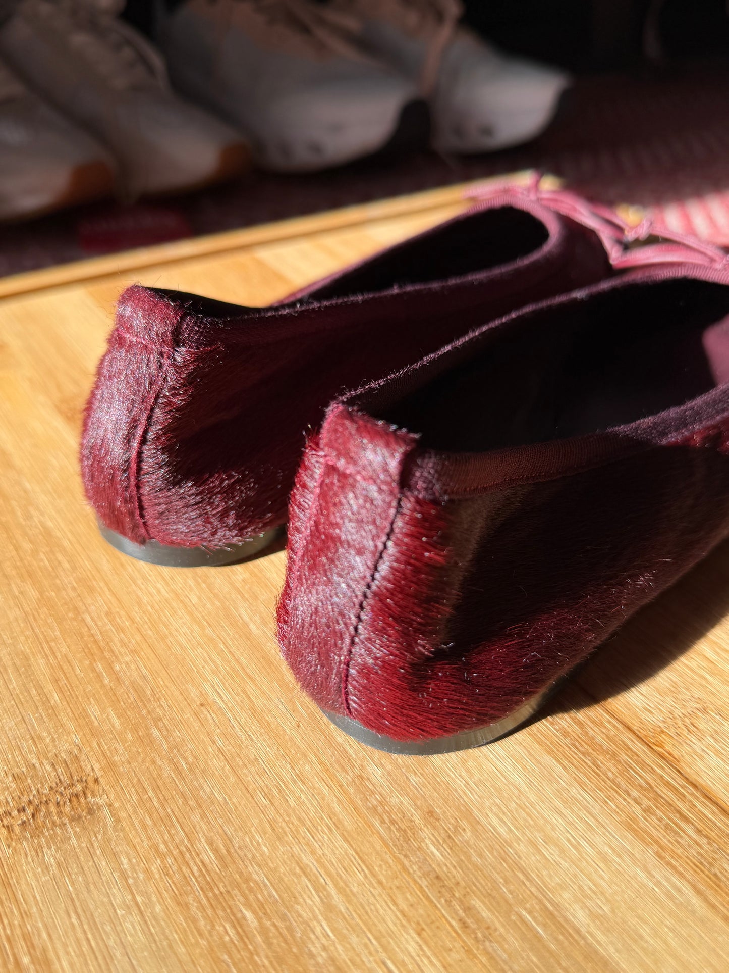 M. Gemi | The Dalia, 37