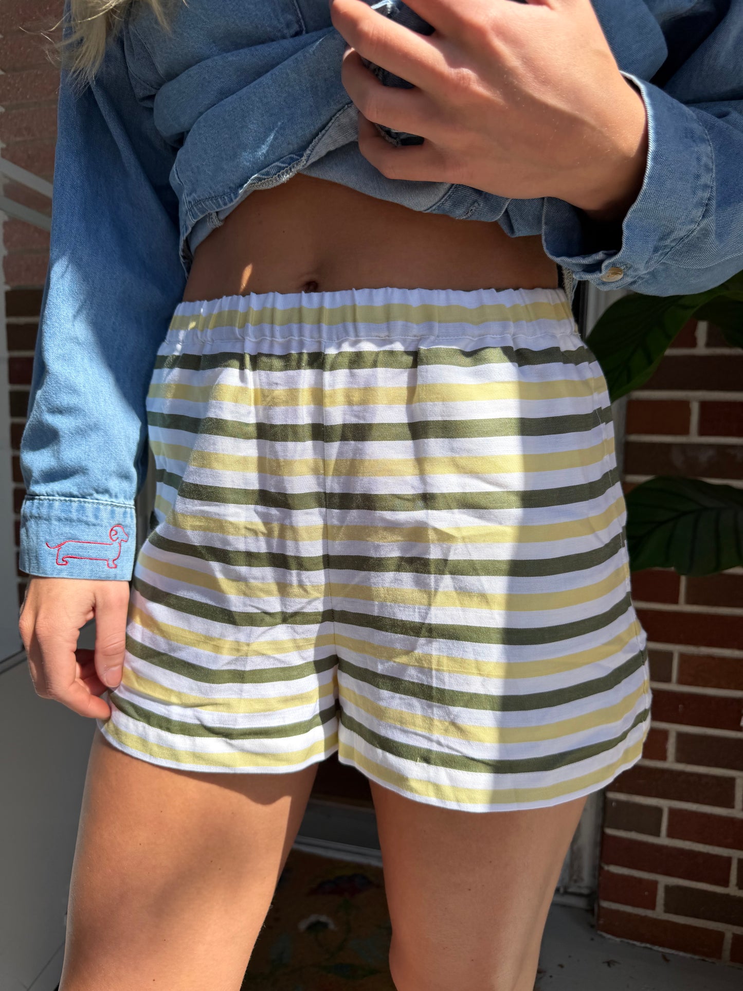 Tuckernuck | Striped Logo Shorts, XS