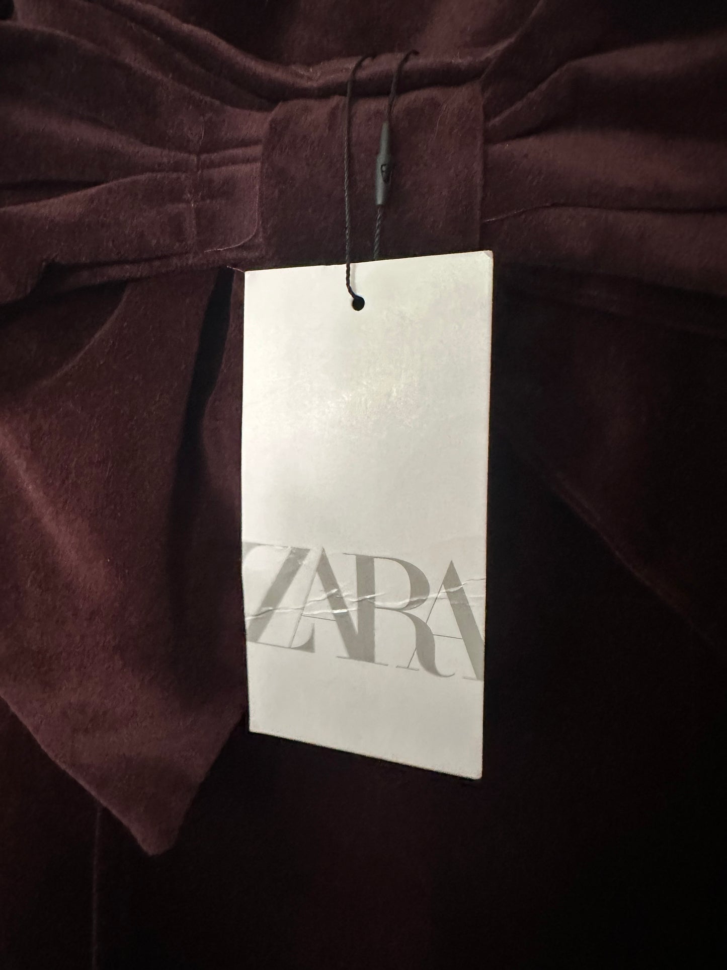 Zara | Mini Velvet Dress