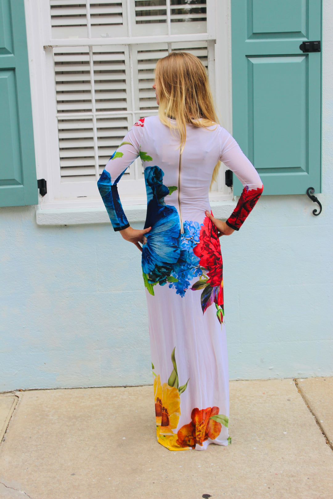 Alice + Olivia / Leva Bonaparte | Semi -Sheer Long Sleeve Floral Maxi Dress, 4