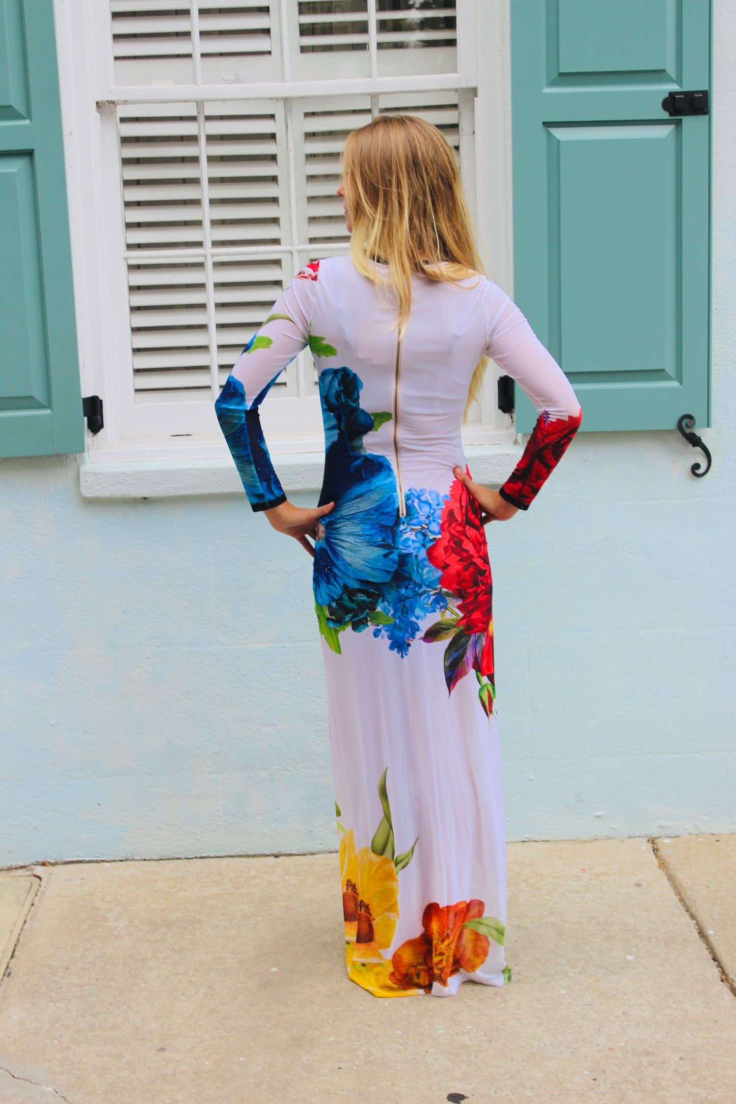 Alice + Olivia / Leva Bonaparte | Semi -Sheer Long Sleeve Floral Maxi Dress, 4