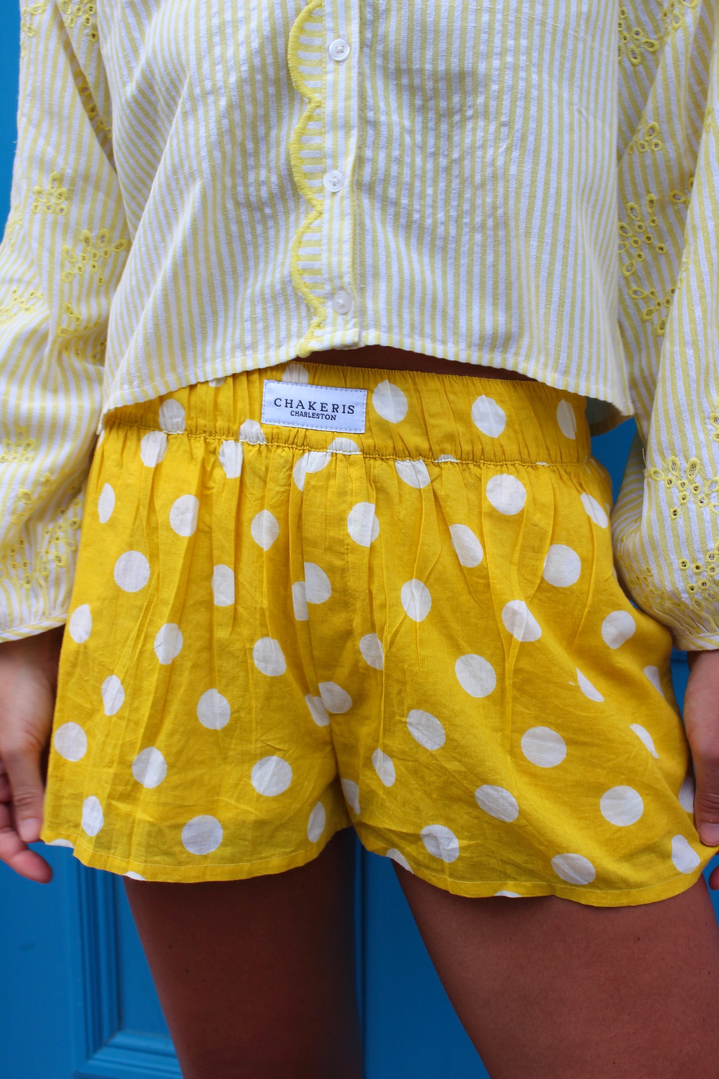 Chakeris Charleston | Polka Dot Boxer Shorts, S