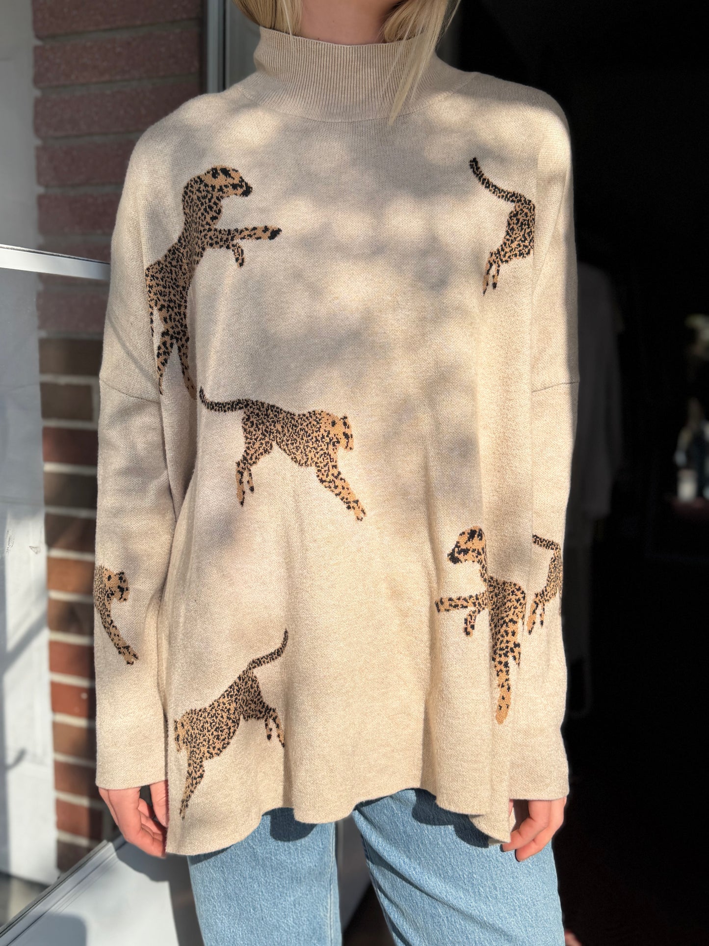 Entro | Cheetah Sweater, L