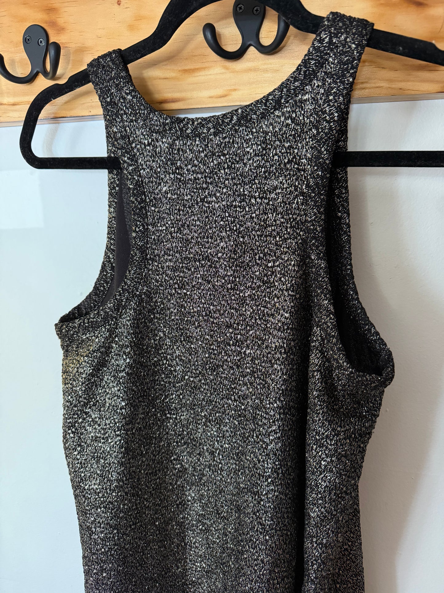 Veronica M | Sleeveless Shimmer Dress, L