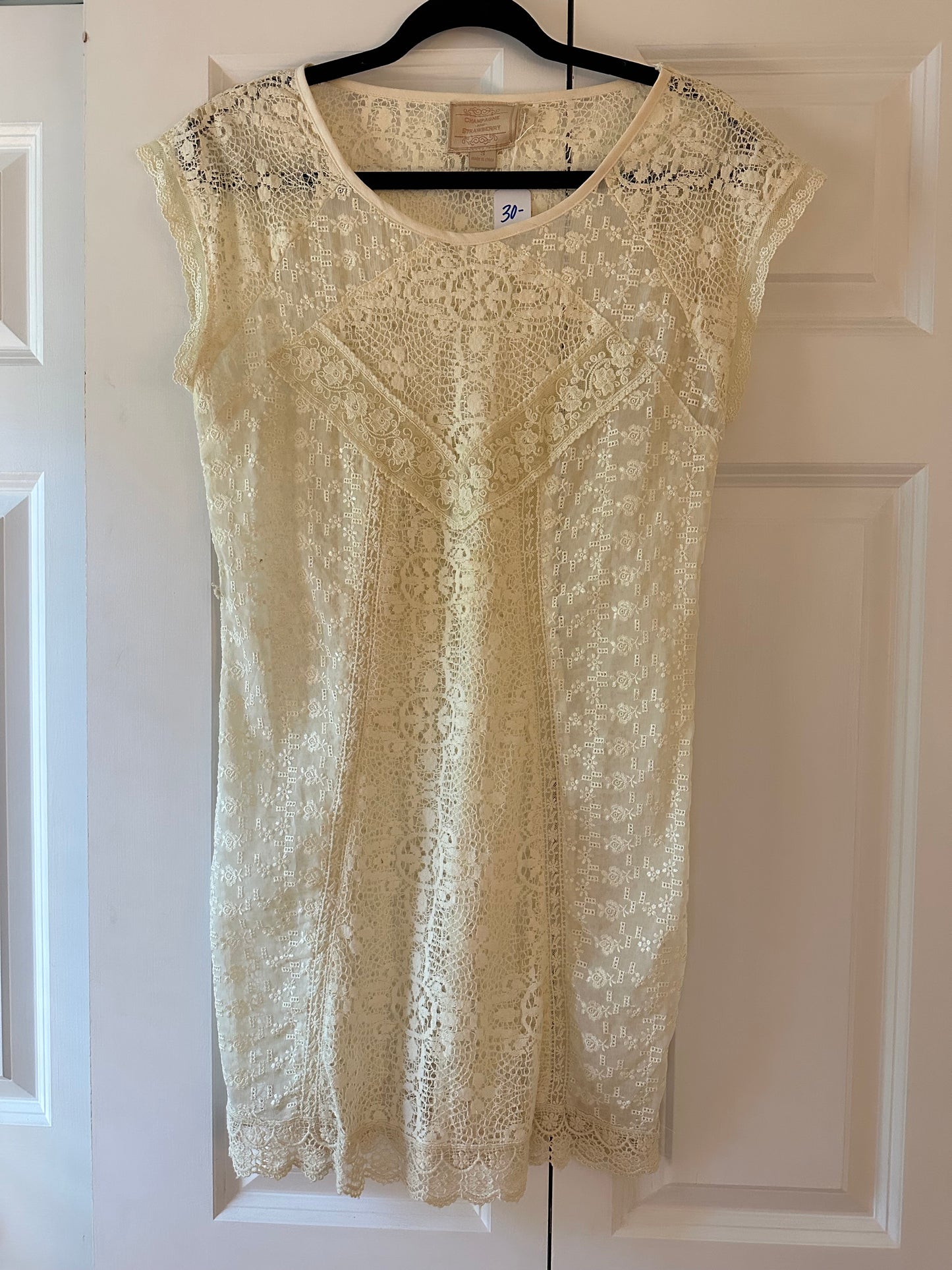 Champagne & Strawberry | Lace Slip Dress