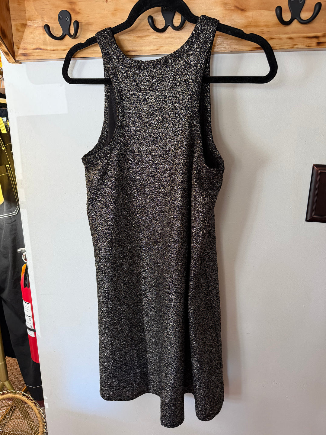 Veronica M | Sleeveless Shimmer Dress, L