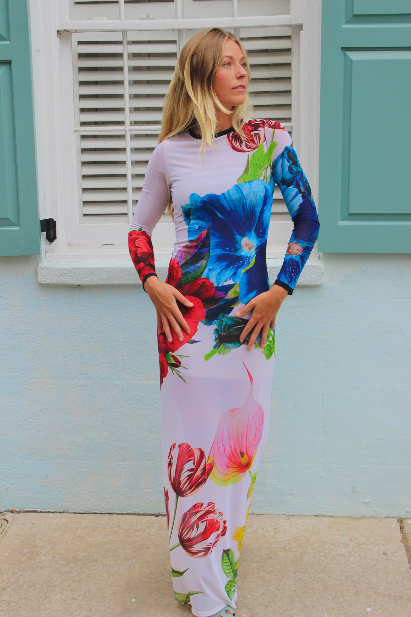 Alice + Olivia / Leva Bonaparte | Semi -Sheer Long Sleeve Floral Maxi Dress, 4