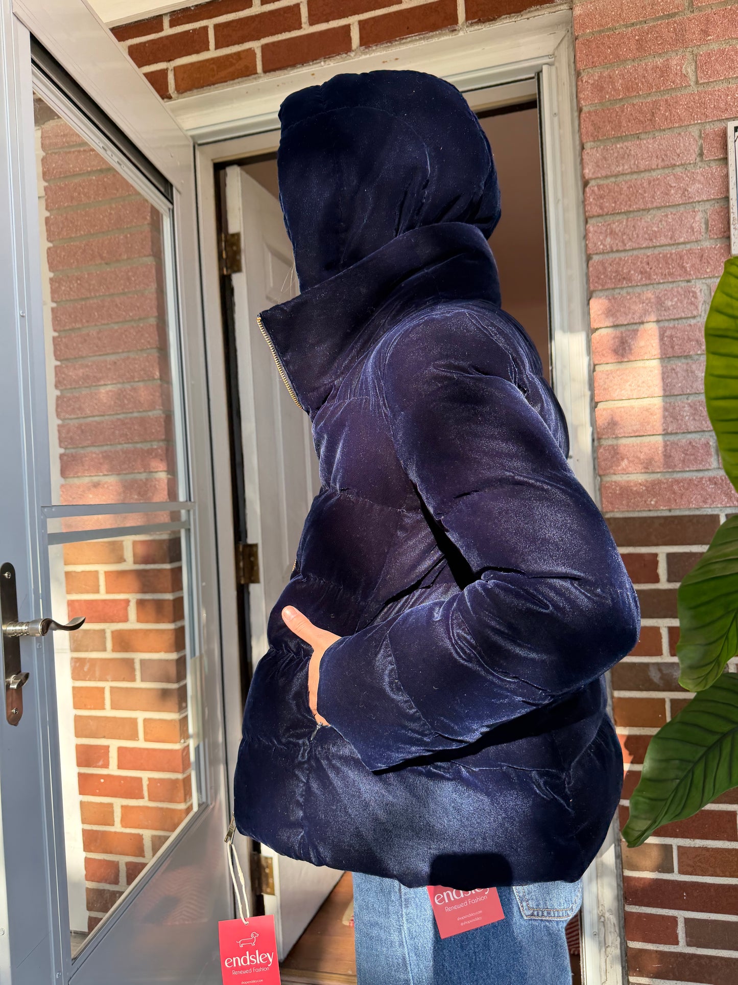 ZARA | Velvet Down Puffer Jacket, S