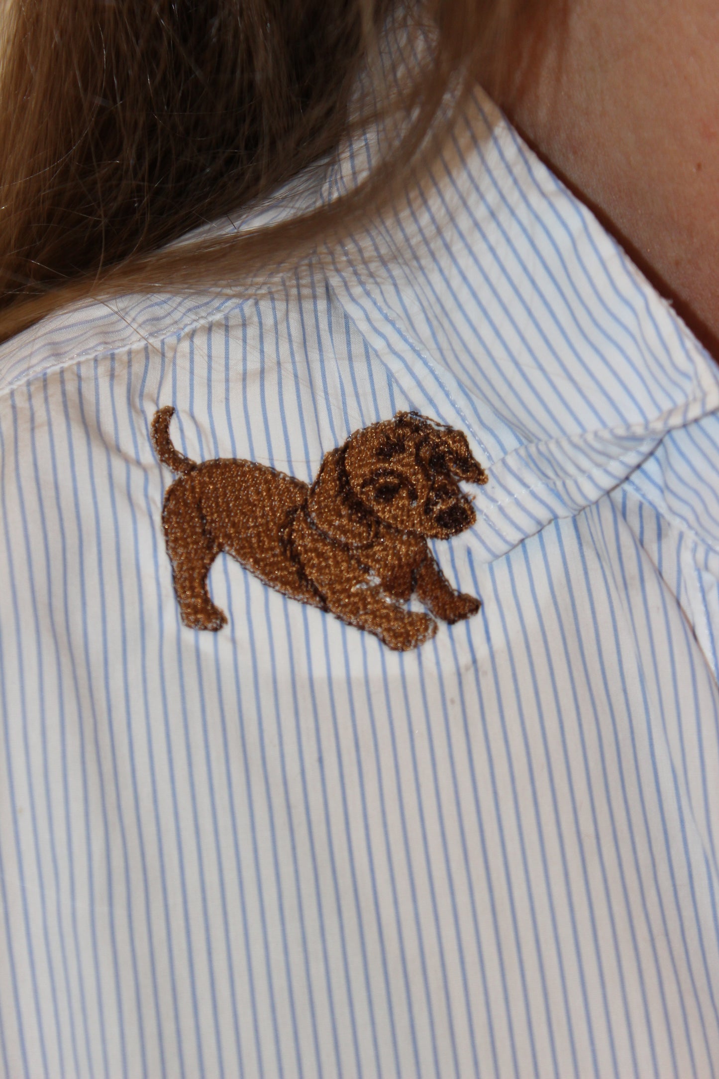 Frank & Eileen | Endsley Pulling Collar Doxie Oversized Striped Button Down, XS