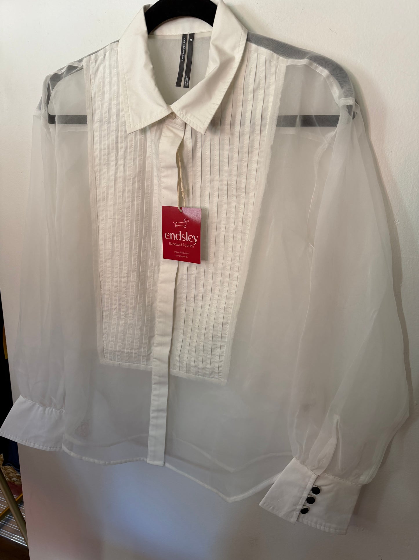 Anthropologie | Sheer Long Sleeve, XS