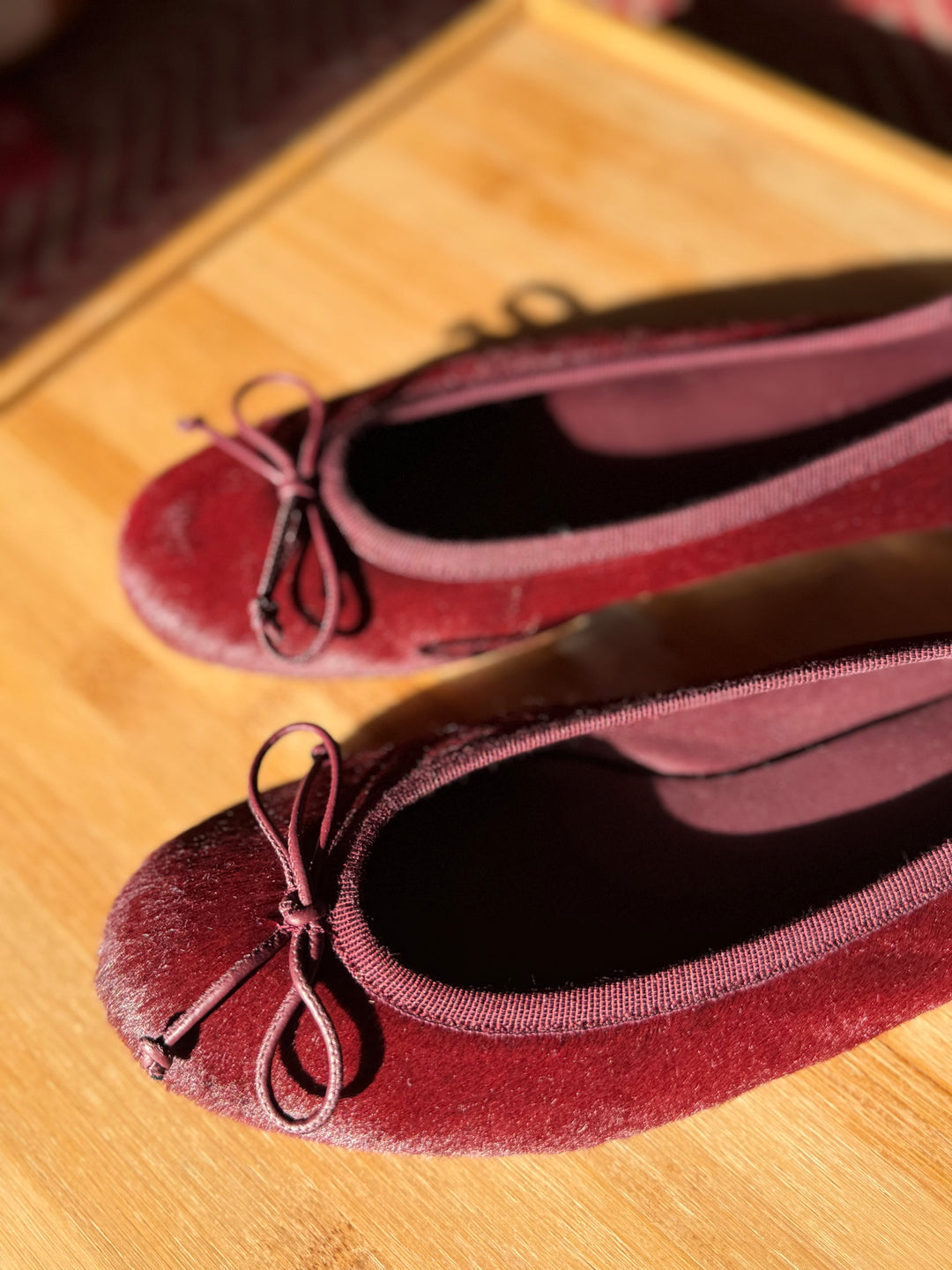 M. Gemi | The Dalia, 37
