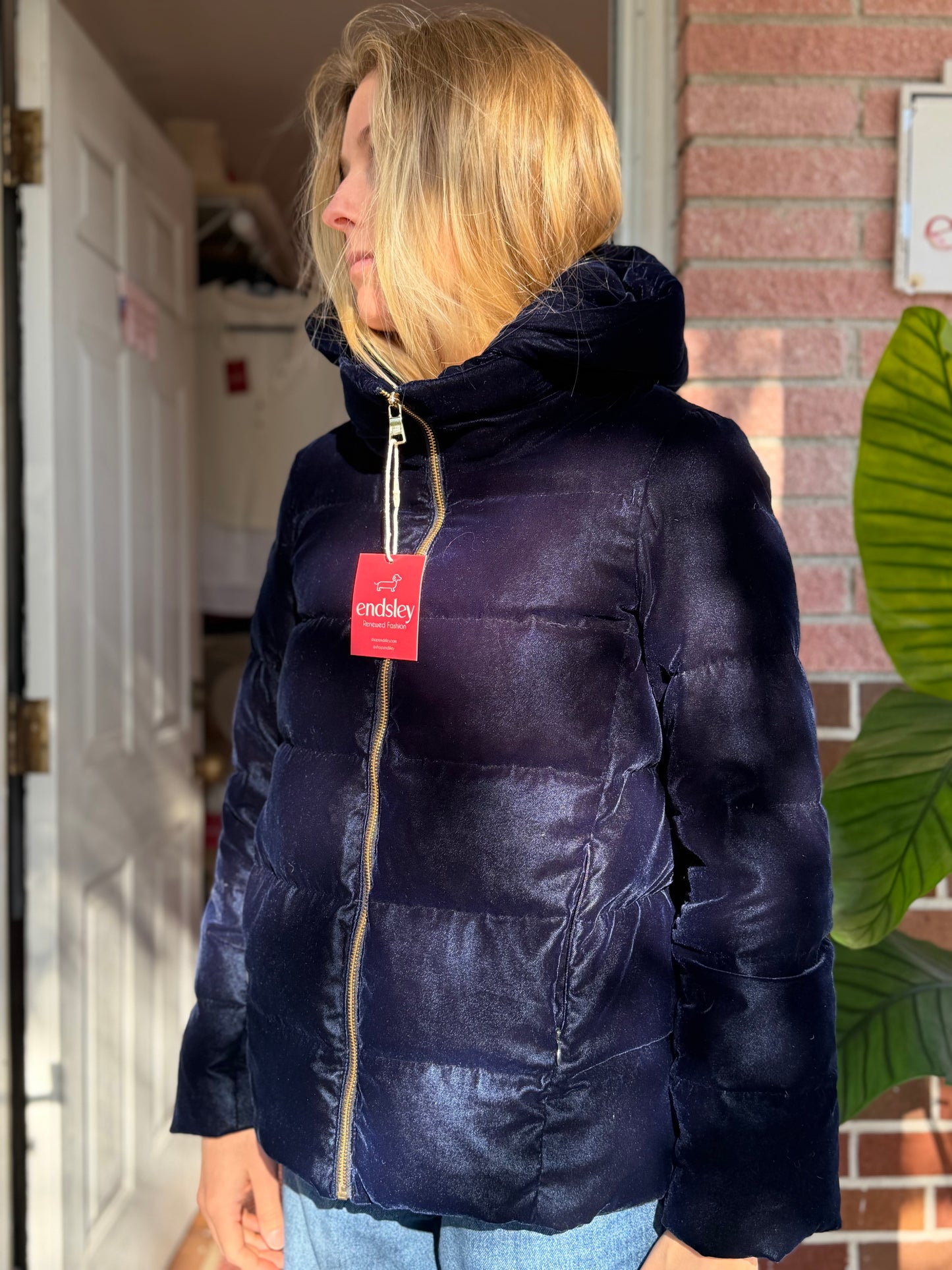 ZARA | Velvet Down Puffer Jacket, S