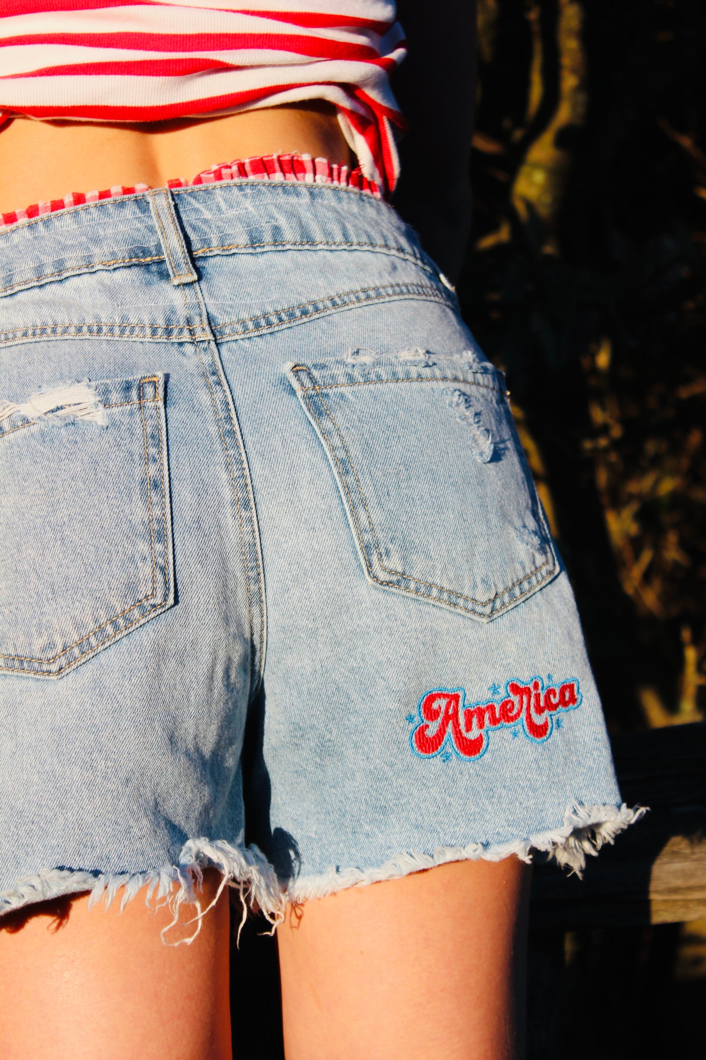 Endsley | "America" Gingham Trim Jorts, 26