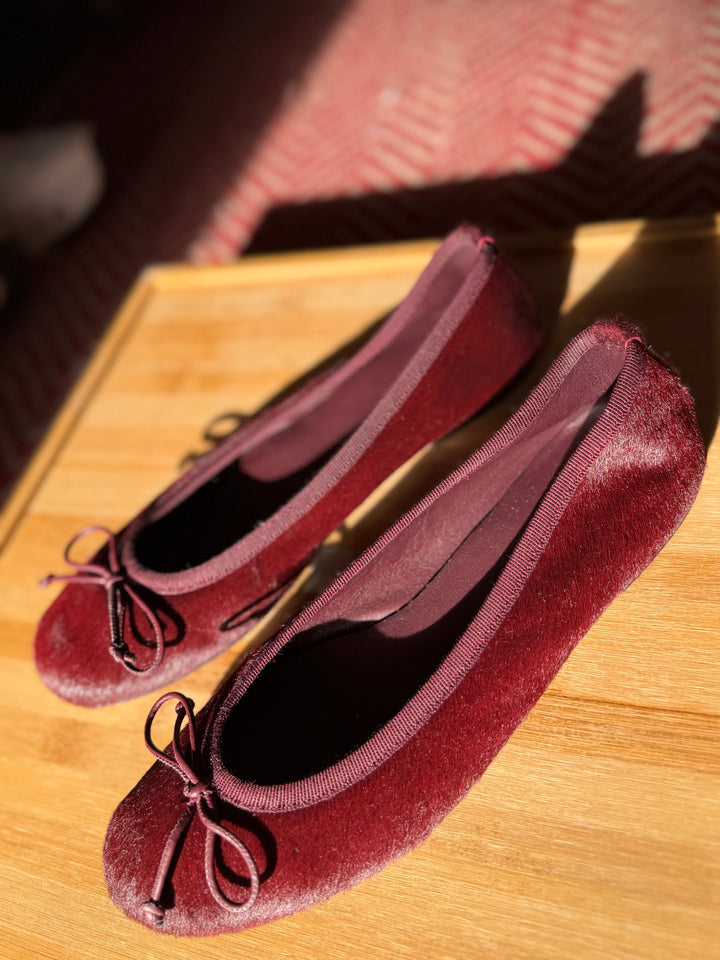 M. Gemi | The Dalia, 37